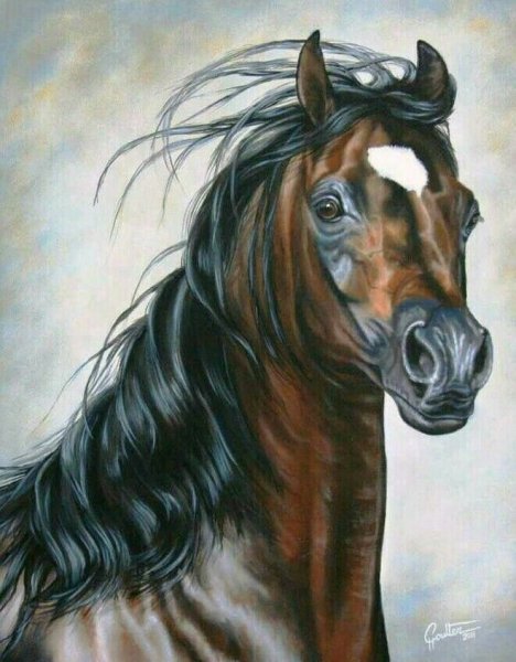 Пара лошадей