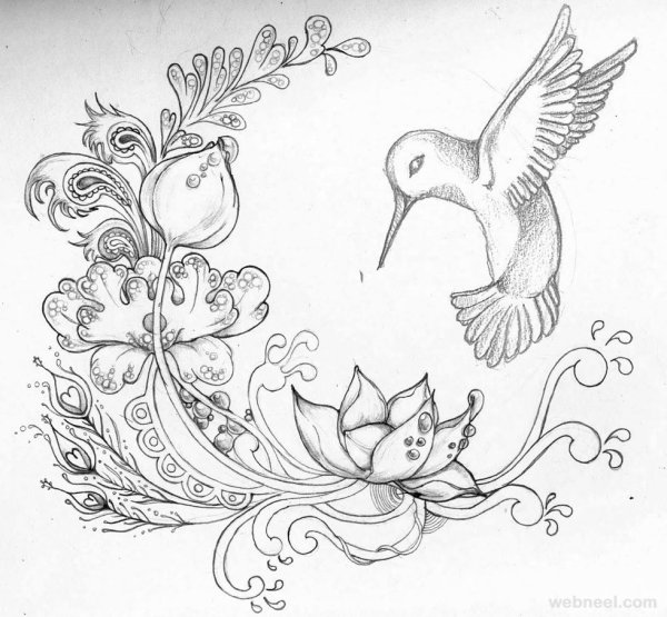 Рисунки птиц для срисовки