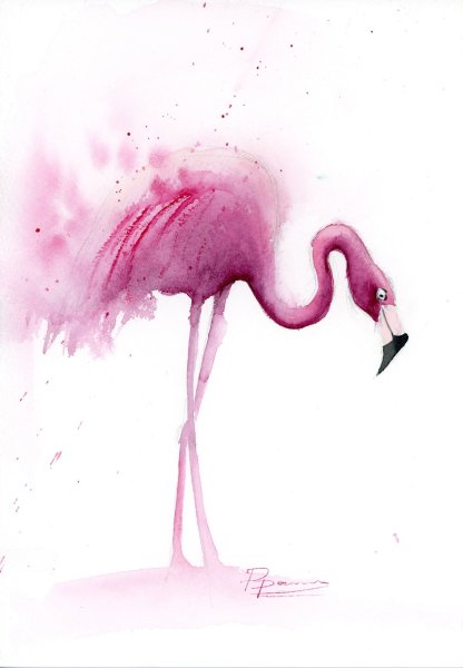 Фламинго рисунок