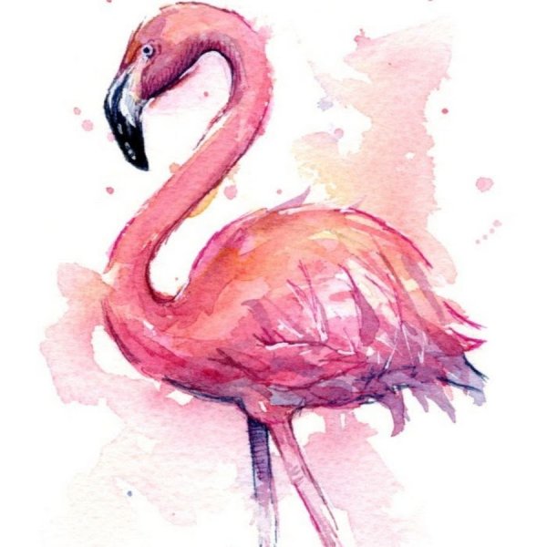 Фламинго красками для детей