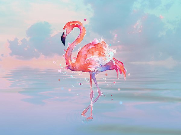 Картина Фламинго любовь