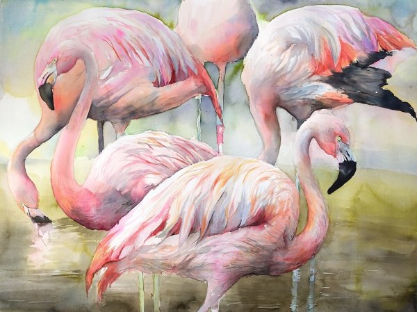 Алмазная мозаика розовый Фламинго