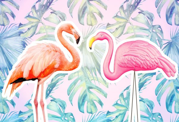 Фламинго арт