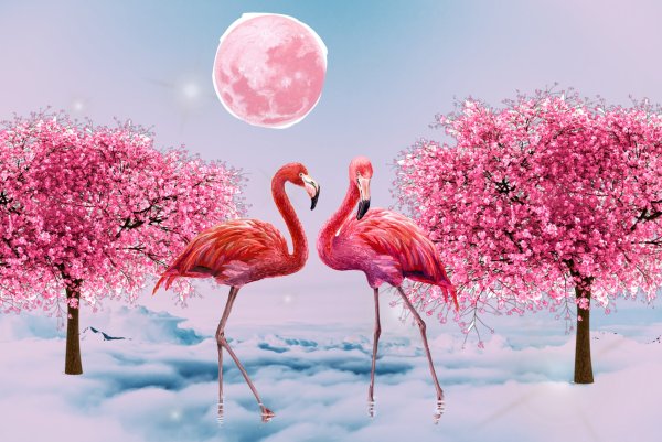 Влюбленный Фламинго