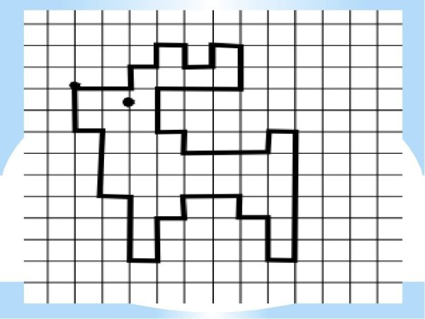 Графические диктанты. Птицы (для детей 4-6 лет)