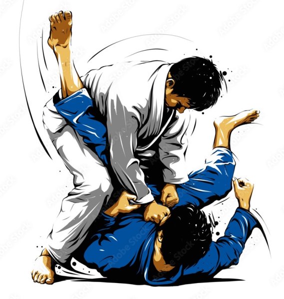 Дзюдо Графика