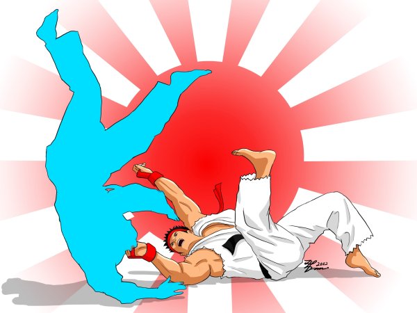 Дзюдоист арт