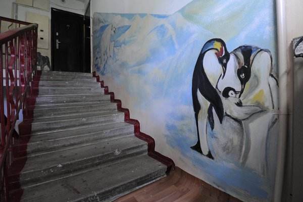 Разрисованные стены в подъезде