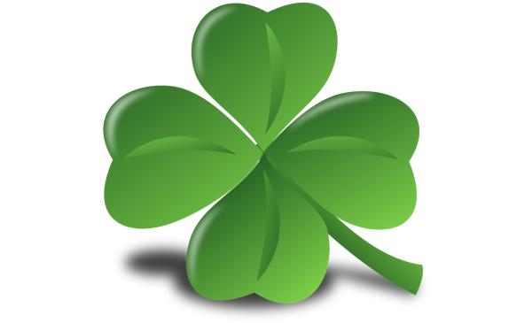 Клевер растение четырехлистный Клевер