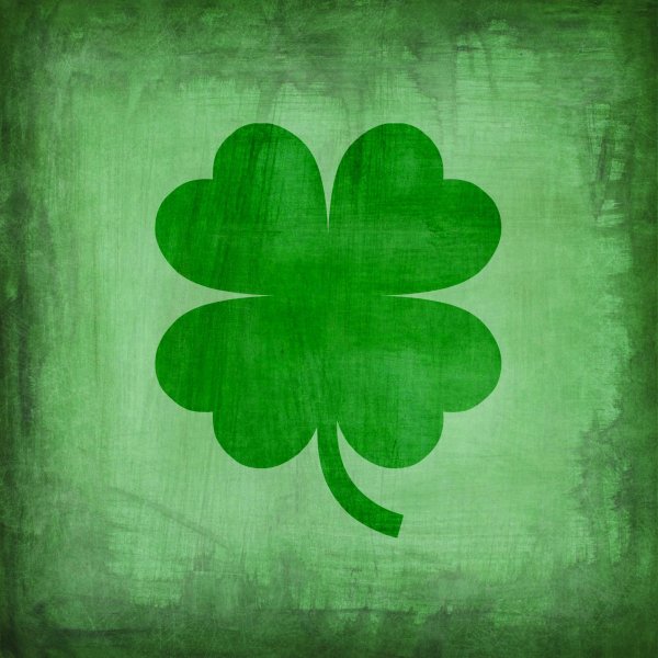 Клевер четырехлистный good luck