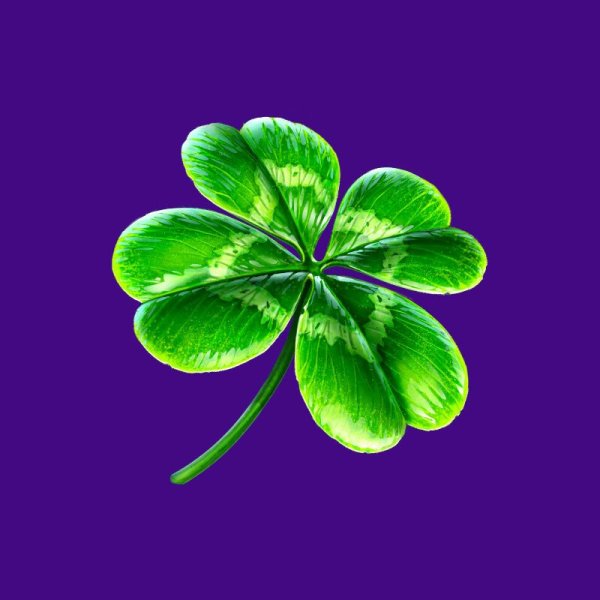 Пятилистный Клевер