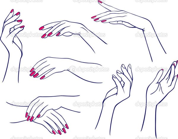 Женская рука рисунок