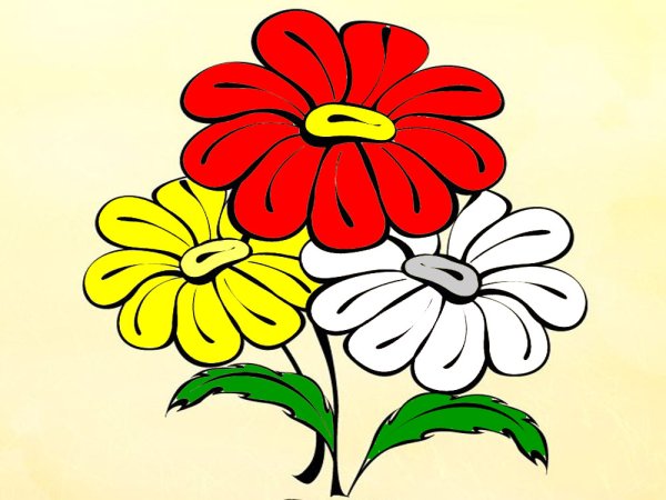 Цветы раскраска цветная
