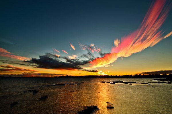 Мэтт Моллой фотограф