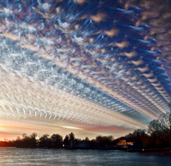 Мэтт Моллой