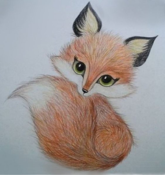 Рисунки карандашом