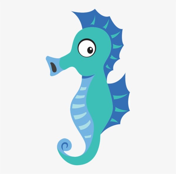 Морской конек картина