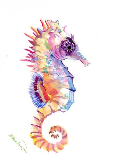 Морской конек рисунок