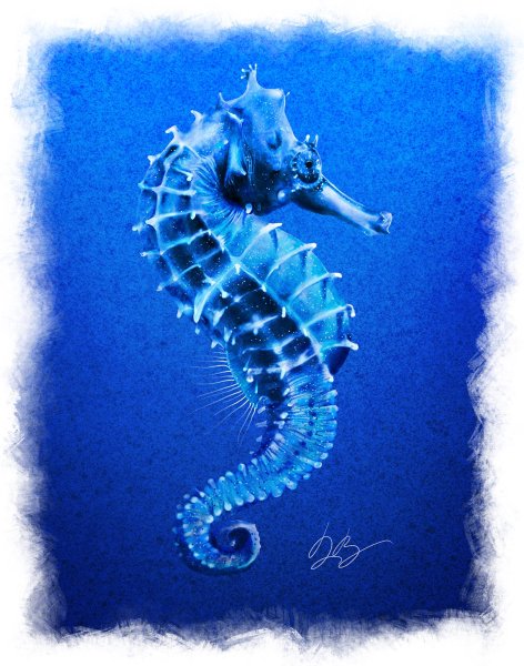 Морской конек эскиз