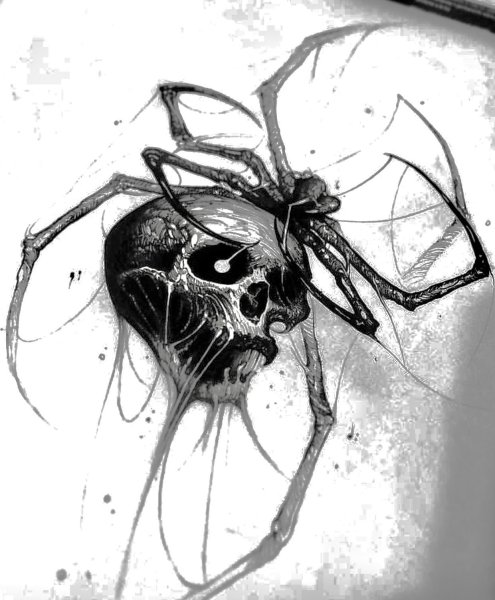 Паук тату эскиз