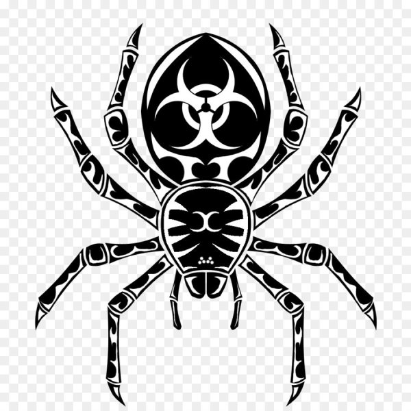 Паук черно белый