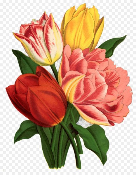 Тюльпаны для печати