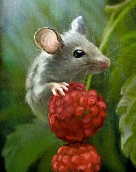 Мышка рисунок