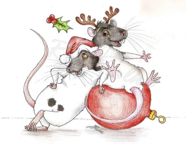 Любимый мышонок