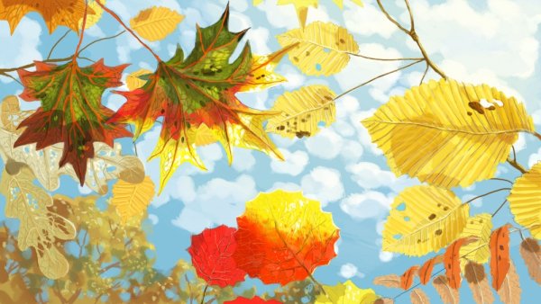 Палитра осенних листьев