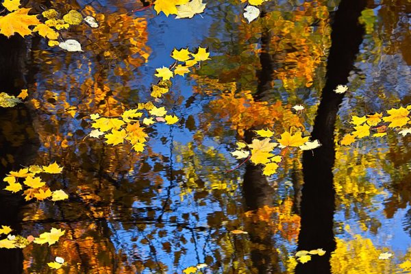 Листопад для дошкольников