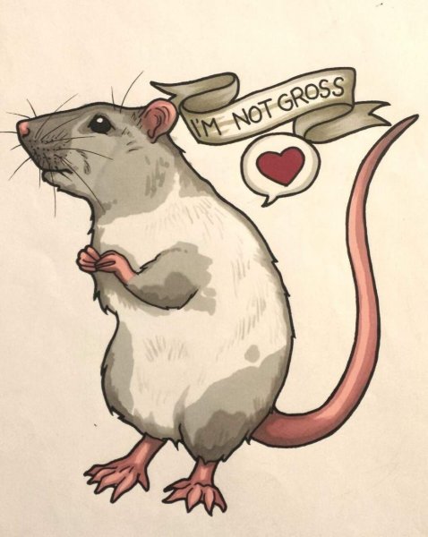 Нарисовать крысу