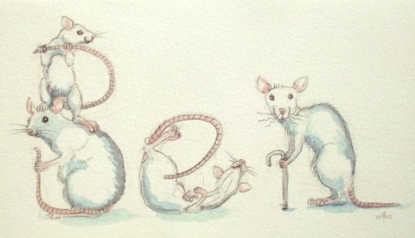 Две крысы иллюстрация