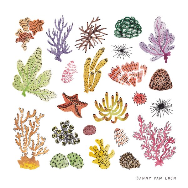 Стилизованные морские растения