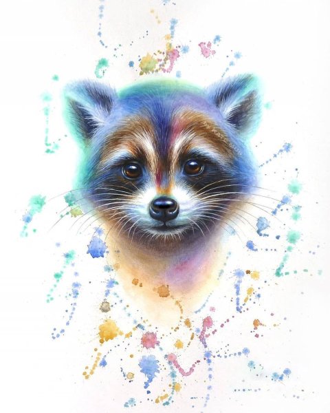 Енот акварелью