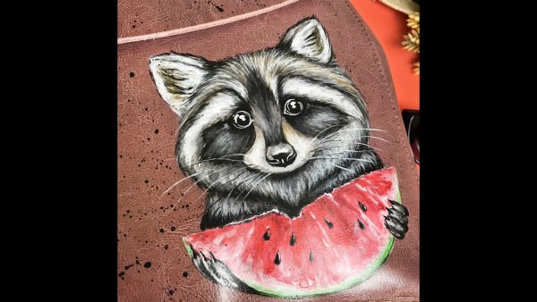 Красивые рисунки енота