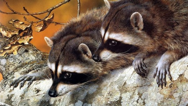 Осенние рисунки для срисовки