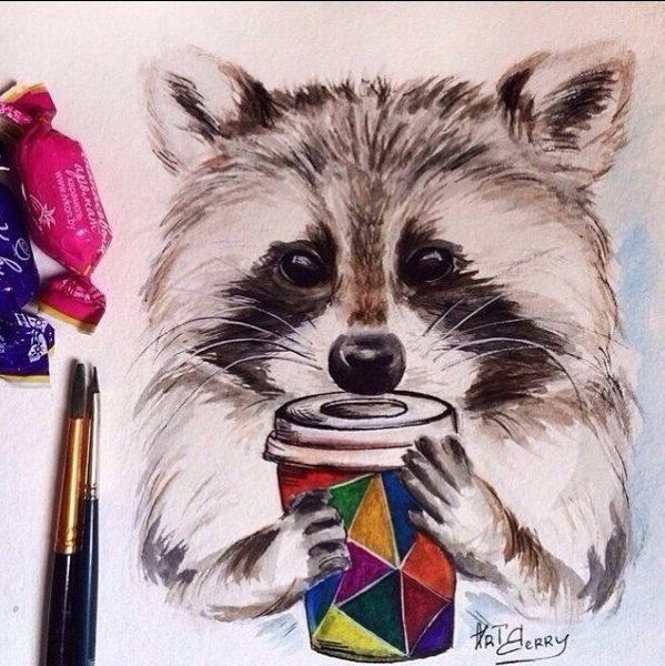 Енот гуашью