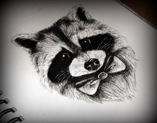 Милый енот арт