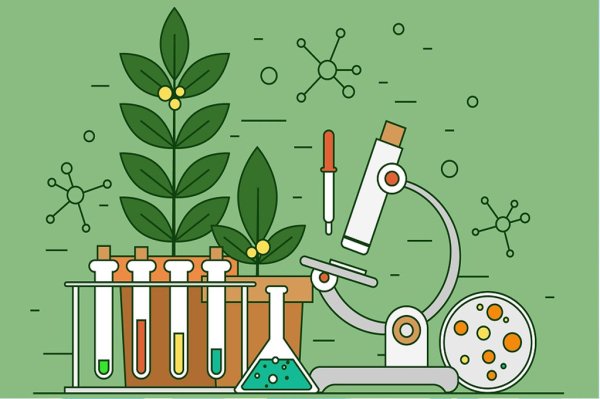 Биология картинки