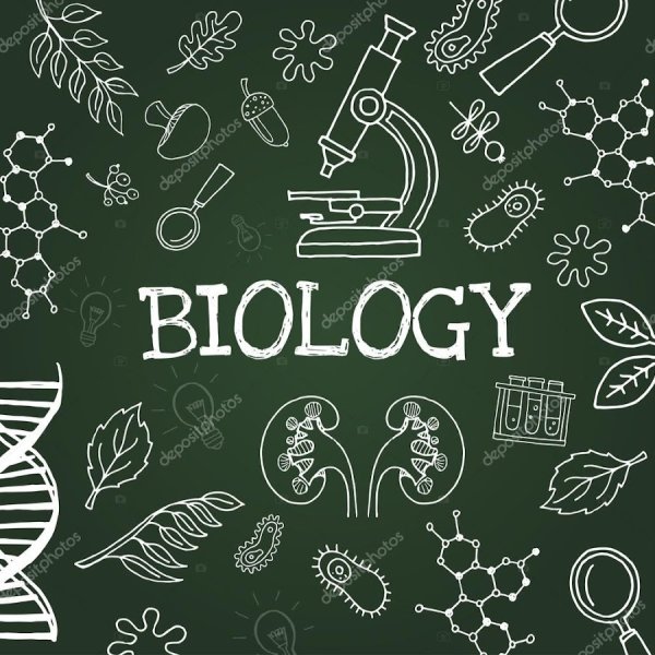 Biology надпись