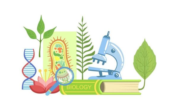 Урок биологии картинки