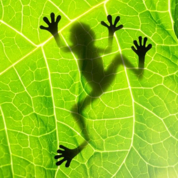 Фон для презентации биология