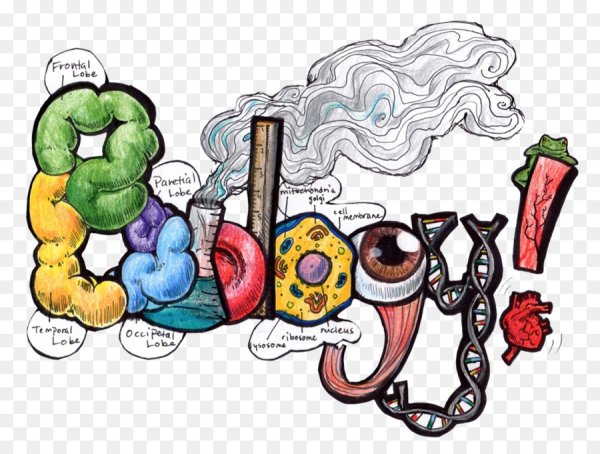 Биологические зарисовки