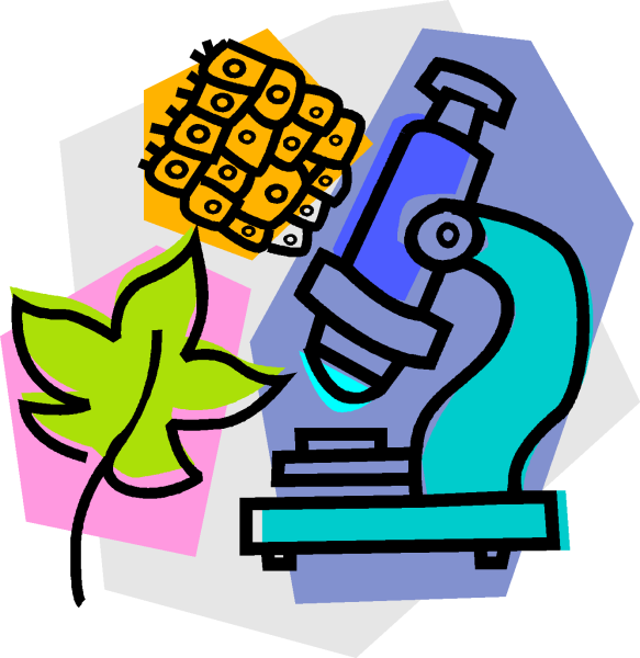 Биология иллюстрации