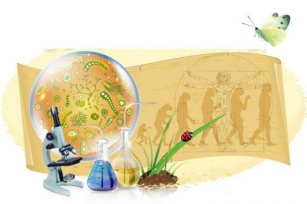 Знания по биологии нарисованный