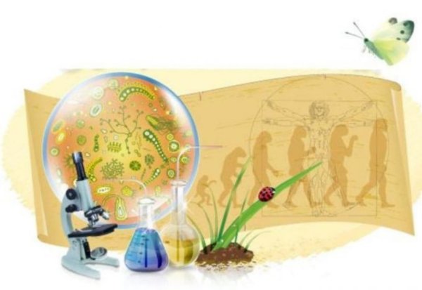 Учитель естествознания