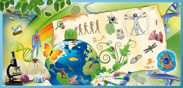 Наука биология для детей