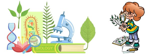 Картинки по биологии