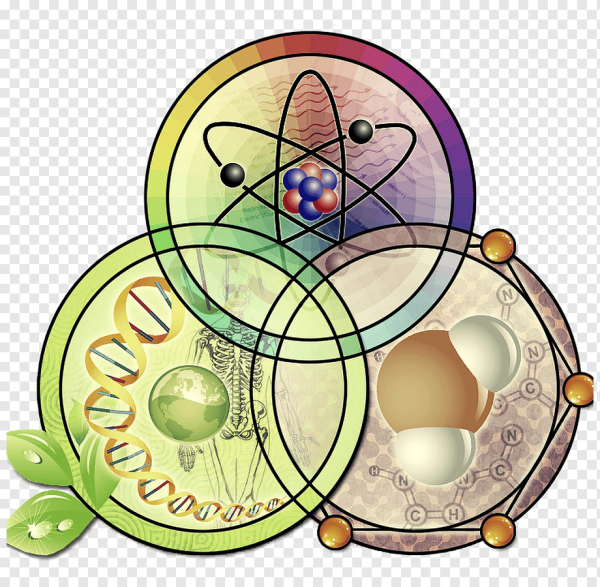 Физика химия биология география