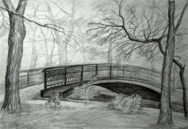 Рисунок парка